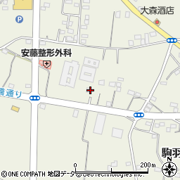 茨城県古河市駒羽根317周辺の地図