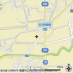 長野県東筑摩郡山形村4548周辺の地図