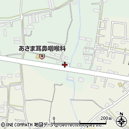 茨城県古河市女沼617周辺の地図