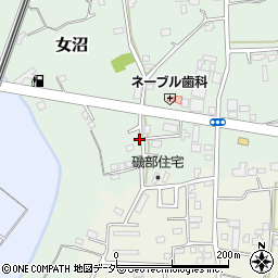 茨城県古河市女沼1202周辺の地図