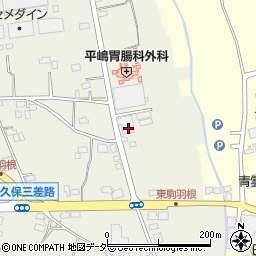 茨城県古河市駒羽根141周辺の地図