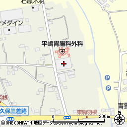 茨城県古河市駒羽根153周辺の地図