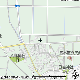 福井県坂井市坂井町五本周辺の地図
