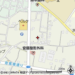 茨城県古河市駒羽根54周辺の地図