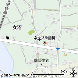 茨城県古河市女沼717周辺の地図