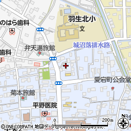 埼玉県羽生市中央4丁目4周辺の地図