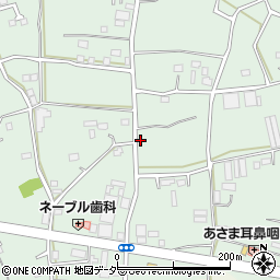 茨城県古河市女沼491周辺の地図
