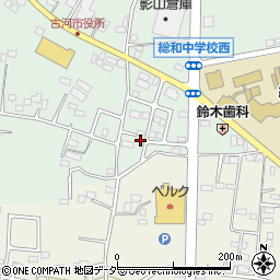 茨城県古河市女沼324-5周辺の地図