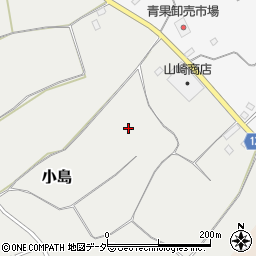 茨城県下妻市小島371周辺の地図