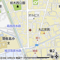埼玉県羽生市東3丁目5-21周辺の地図