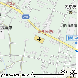 茨城県古河市女沼336周辺の地図