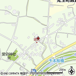 埼玉県本庄市児玉町高柳109周辺の地図