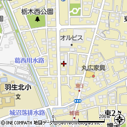 埼玉県羽生市東3丁目5周辺の地図