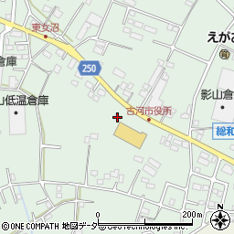 茨城県古河市女沼338-1周辺の地図