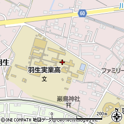 埼玉県立羽生実業高等学校周辺の地図