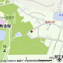 埼玉県本庄市児玉町高柳549-1周辺の地図