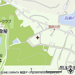埼玉県本庄市児玉町高柳549周辺の地図