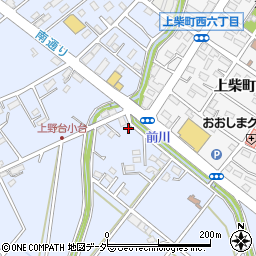 埼玉県深谷市上野台1993周辺の地図