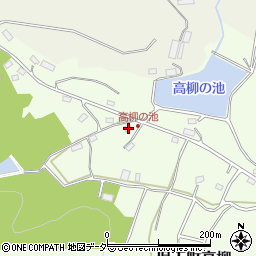 埼玉県本庄市児玉町高柳545周辺の地図