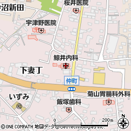 茨城県下妻市下妻丁250周辺の地図