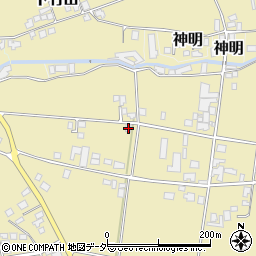 長野県東筑摩郡山形村上竹田5246周辺の地図