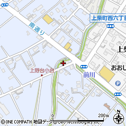 埼玉県深谷市上野台2029周辺の地図