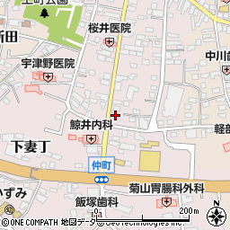 茨城県下妻市下妻丁96周辺の地図