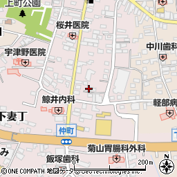 茨城県下妻市下妻丁97-9周辺の地図