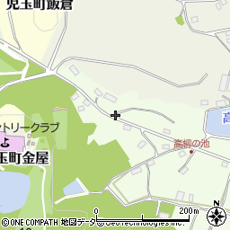 埼玉県本庄市児玉町高柳563-3周辺の地図