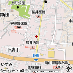 茨城県下妻市下妻丁245-1周辺の地図