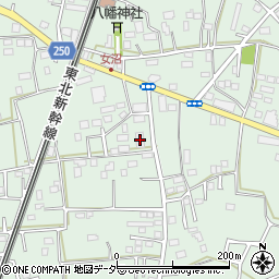 茨城県古河市女沼876周辺の地図