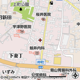 茨城県下妻市下妻丁245-5周辺の地図