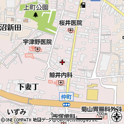 茨城県下妻市下妻丁245周辺の地図
