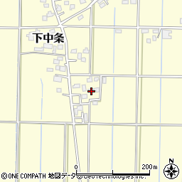 埼玉県行田市下中条295周辺の地図