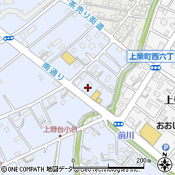 埼玉県深谷市上野台2183周辺の地図