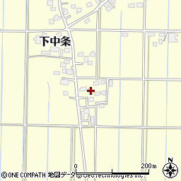 埼玉県行田市下中条298周辺の地図