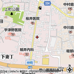茨城県下妻市下妻丁98周辺の地図