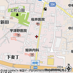 茨城県下妻市下妻丁242-1周辺の地図