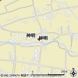 長野県東筑摩郡山形村7110周辺の地図