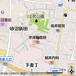 茨城県下妻市下妻丁373-2周辺の地図