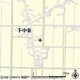埼玉県行田市下中条304周辺の地図