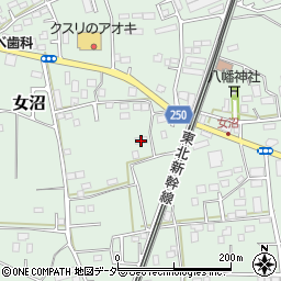 茨城県古河市女沼917周辺の地図