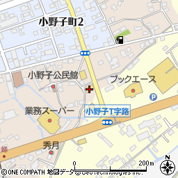 茨城県下妻市下妻乙493周辺の地図