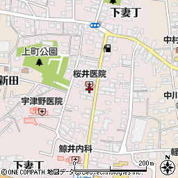 茨城県下妻市下妻丁239-1周辺の地図