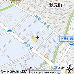 埼玉県深谷市上野台2196周辺の地図
