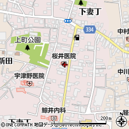 茨城県下妻市下妻丁238-1周辺の地図