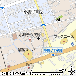 茨城県下妻市下妻乙496-1周辺の地図