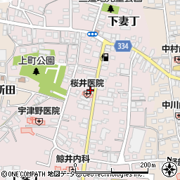茨城県下妻市下妻丁237-1周辺の地図