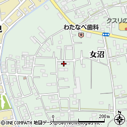 茨城県古河市女沼1010周辺の地図