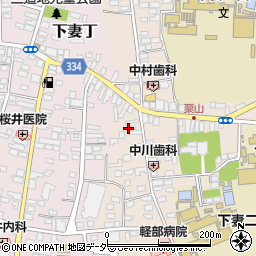 茨城県下妻市下妻乙315周辺の地図